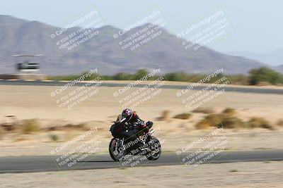 media/Apr-10-2022-SoCal Trackdays (Sun) [[f104b12566]]/Speed Shots Back Straight (930am)/